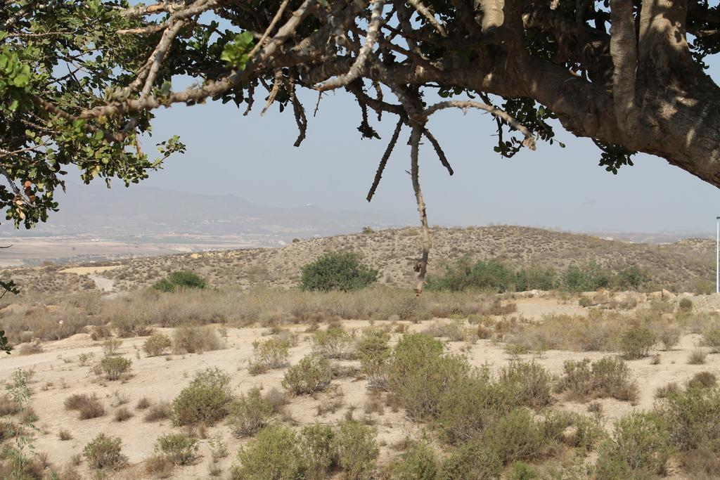 Casa Alegria Mazarron Villa Eksteriør billede